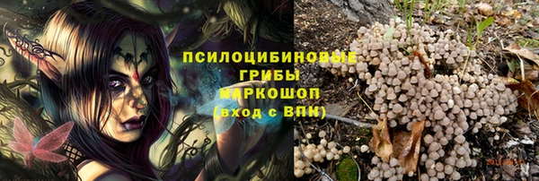 гидропоника Гусев