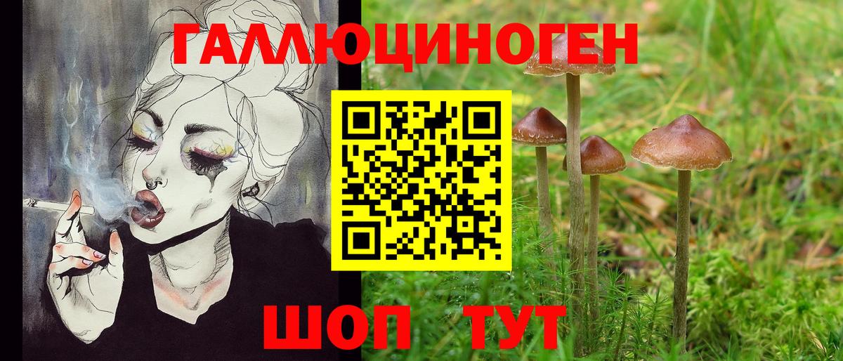 Псилоцибиновые грибы Cubensis Фролово