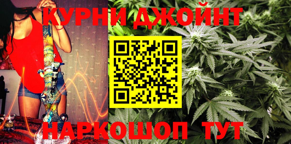 Бошки Шишки ГИДРОПОН Фролово